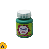 Fevicryl Acrylic Colour 100 ML Fevicryl Acrylic Colour 100 ML