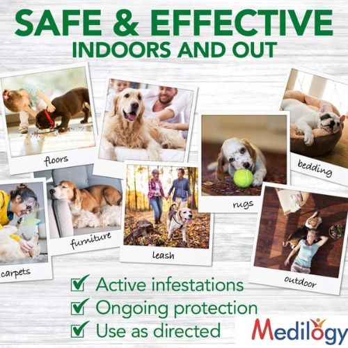 Fipomed Fipronil Spray โ Broad-Spectrum Tick & Flea Control for Dogs and Cats (100ml) Fipomed Fipronil Spray โ Broad-Spectrum Tick & Flea Control for Dogs and Cats (100ml)