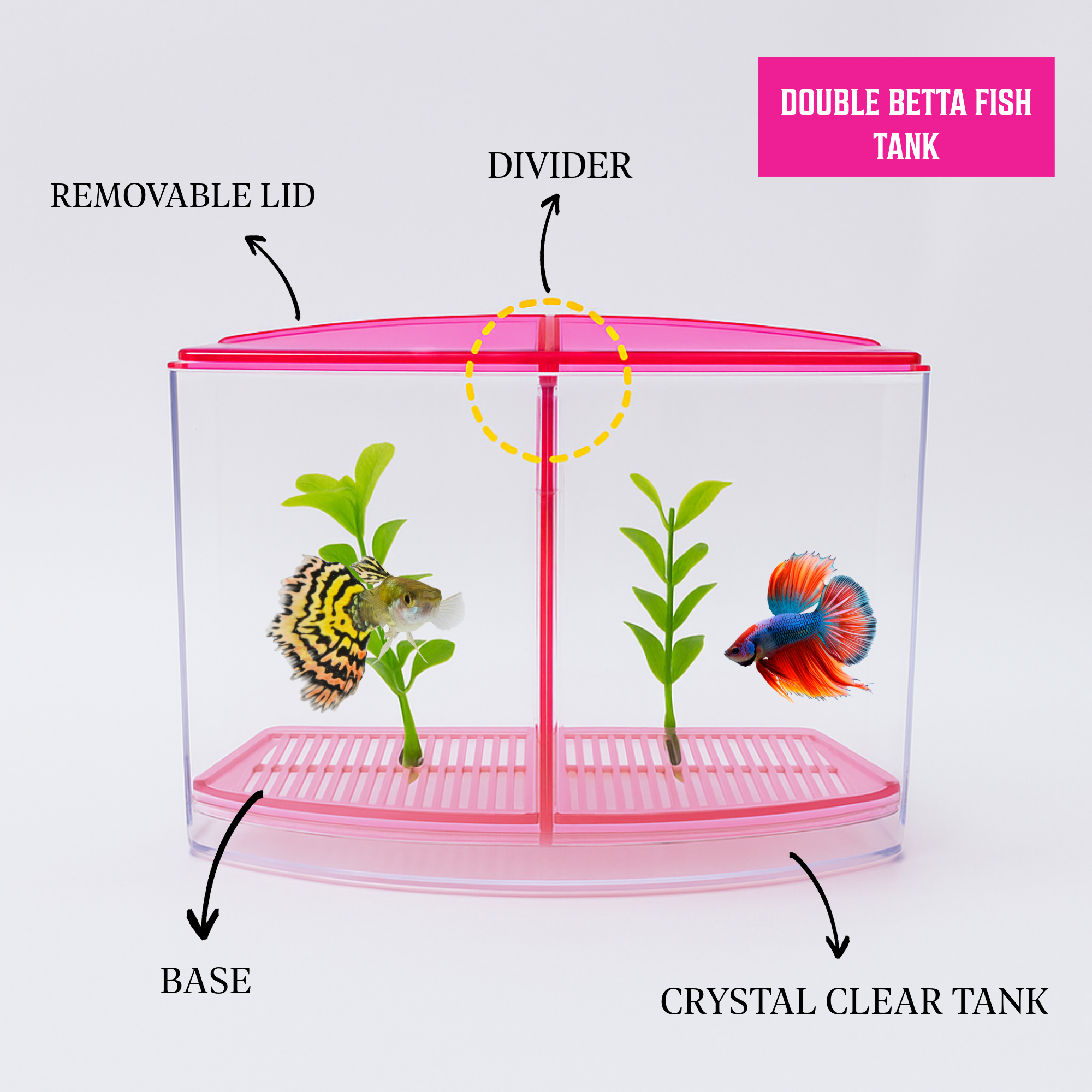 FlyExtreme Double Betta Fish Tank with Divider and Hood | Dual Compartment with Plants FlyExtreme Double Betta Fish Tank with Divider and Hood | Dual Compartment with Plants