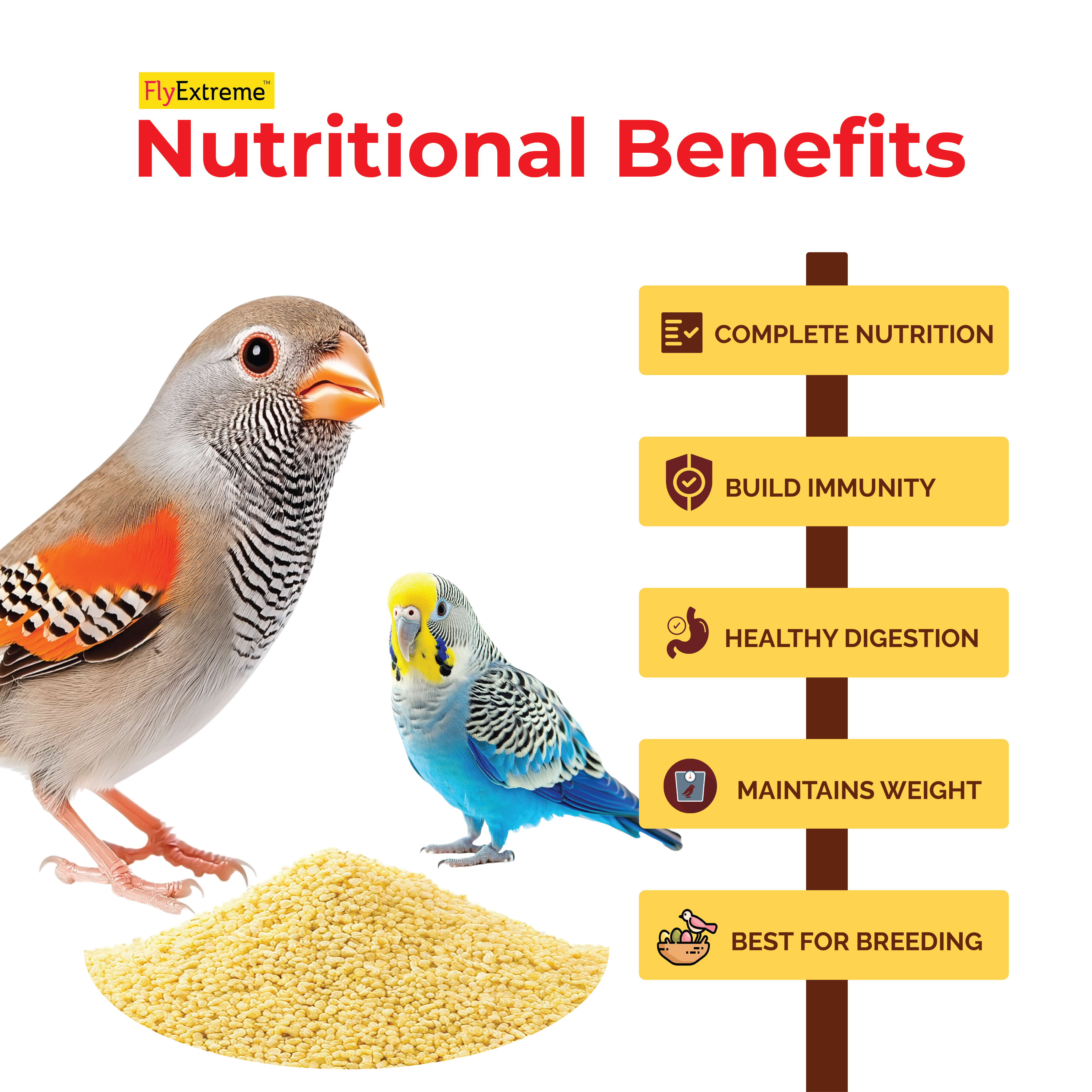 FlyExtreme Foxtail Millet for Birds – Premium Quality, Natural Bird Food