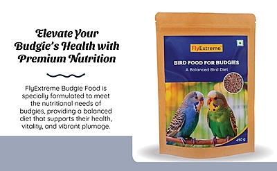 Premium Budgies and Small Parakeet Seed Mix Premium Budgies and Small Parakeet Seed Mix