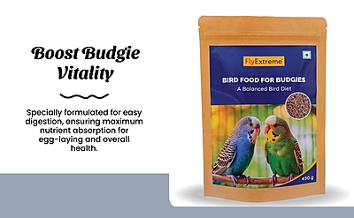 Premium Budgies and Small Parakeet Seed Mix Premium Budgies and Small Parakeet Seed Mix