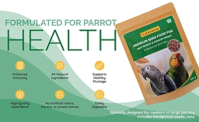 Premium Bird Food For African Grey Parrot & Amazon Parrot Premium Bird Food For African Grey Parrot & Amazon Parrot