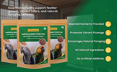 Premium Bird Food For African Grey Parrot & Amazon Parrot Premium Bird Food For African Grey Parrot & Amazon Parrot