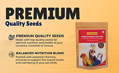 Premium Bird Food For LoveBird, Cockatiels & Conures