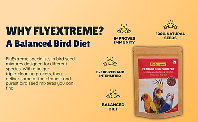 Premium Bird Food For LoveBird, Cockatiels & Conures