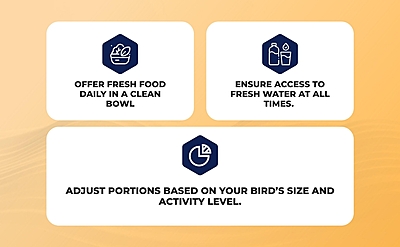 Premium Bird Food For LoveBird, Cockatiels & Conures