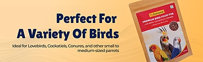 Premium Bird Food For LoveBird, Cockatiels & Conures