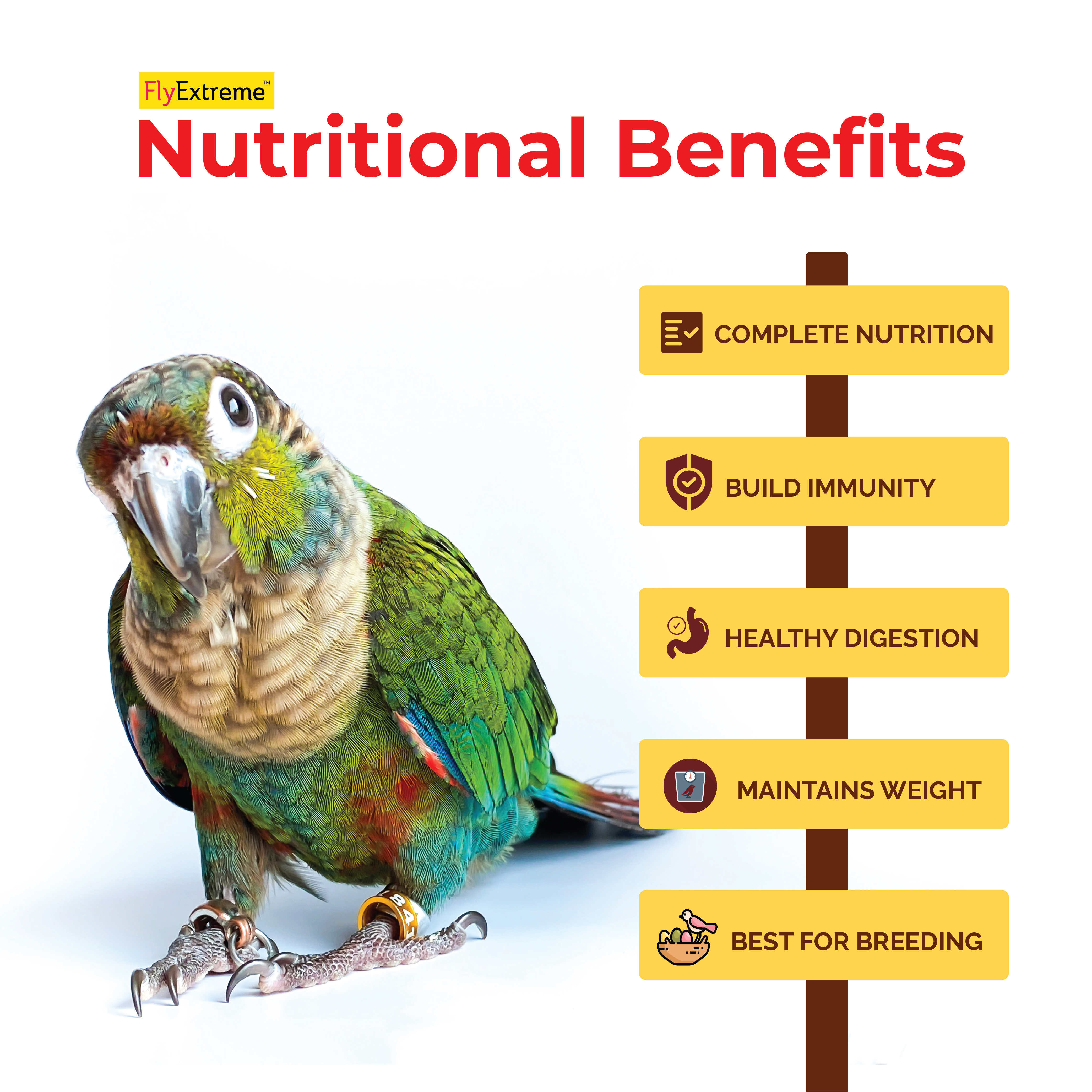 Premium Bird Food For LoveBird, Cockateils & Conures Premium Bird Food For LoveBird, Cockateils & Conures