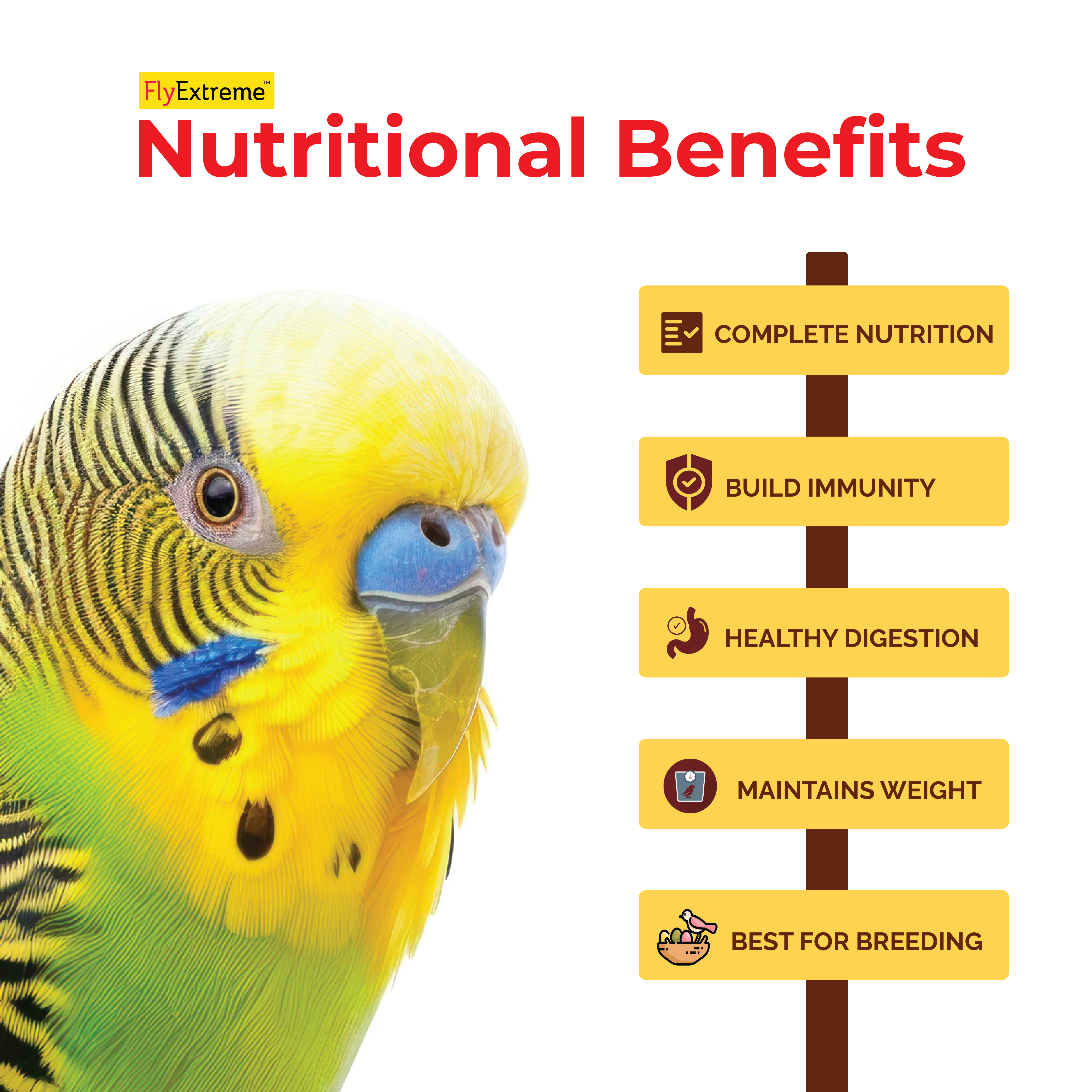 Budgies and Small Parakeet Seed Mix Budgies and Small Parakeet Seed Mix