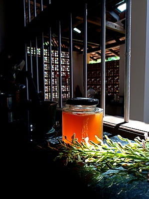 Forest Honey