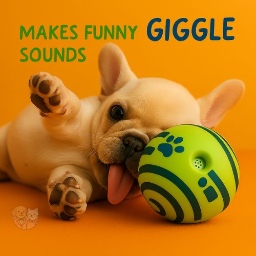 Fun Ball โ Big Bouncy Play Ball for Dogs & Puppies Fun Ball โ Big Bouncy Play Ball for Dogs & Puppies