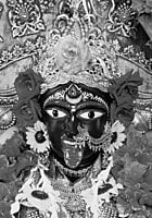 BHABATARINI (BUST)