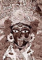 BHABATARINI (BUST)