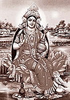 MAA LAXMI MAA LAXMI