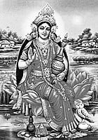 MAA LAXMI MAA LAXMI