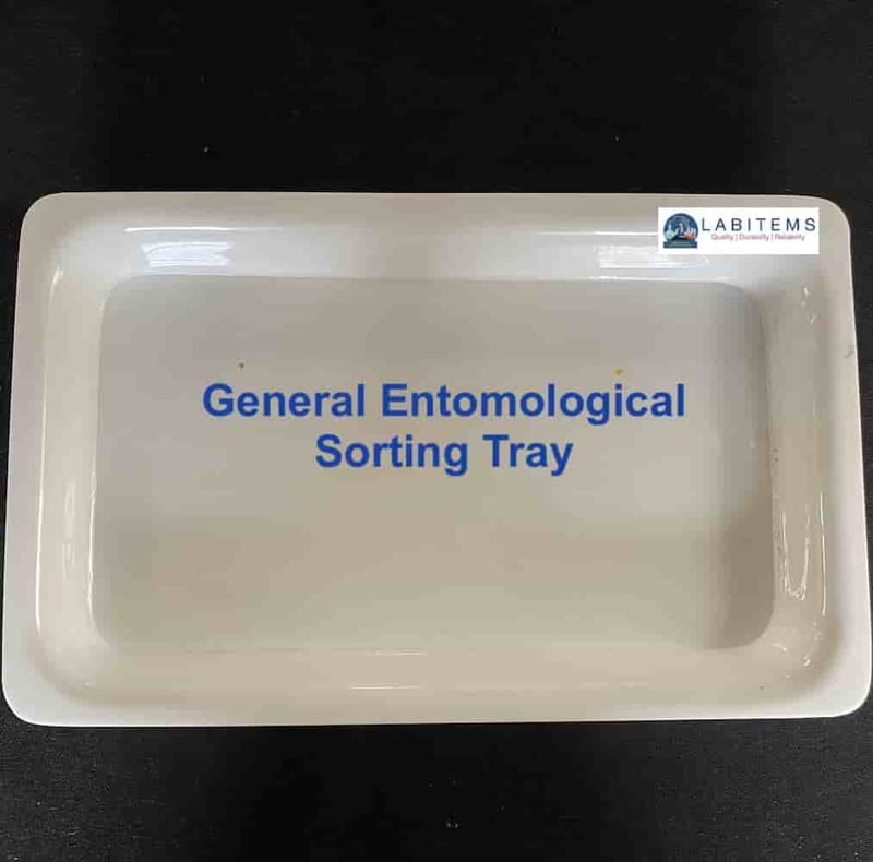 Larval sorting Tray Small Acrylic Based Larval sorting Tray Small Acrylic Based