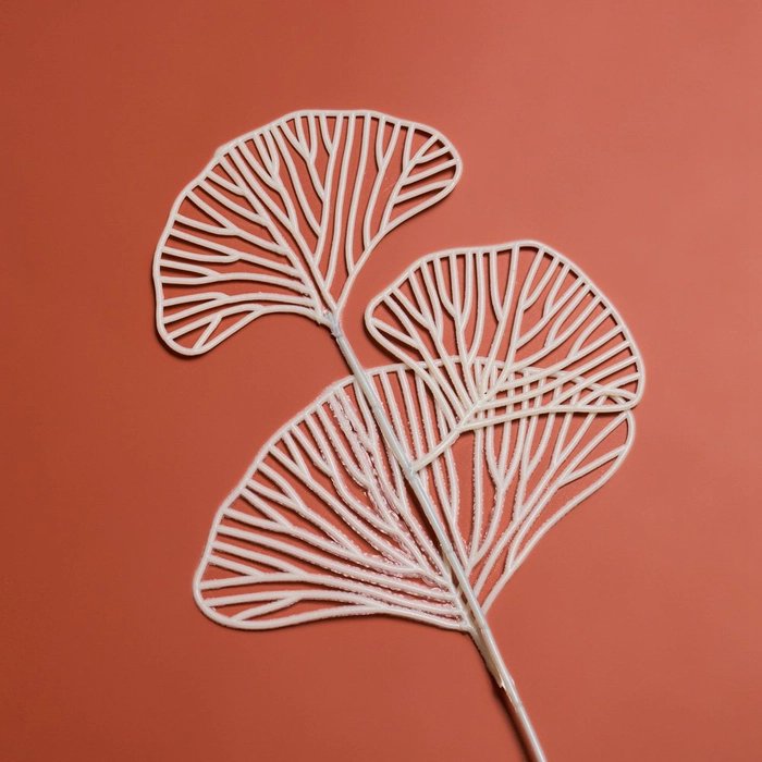 Ginkgo Leaf