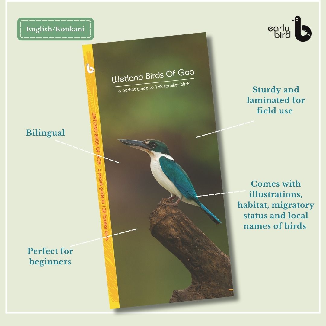 Early Bird Pocket Guides Early Bird Pocket Guides
