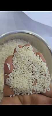 Gobindobhog Rice - 50kg