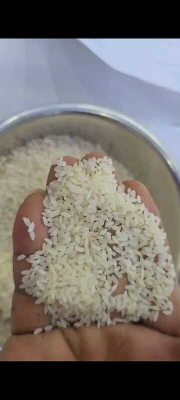 Gobindobhog Rice - 50kg