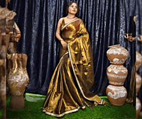 Tissue Gold with Zardozi Border Tissue Gold with Zardozi Border