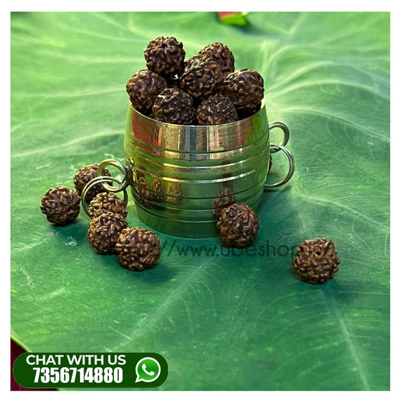 GoldenPARA-with-Rudraksha- GoldenPARA-with-Rudraksha-