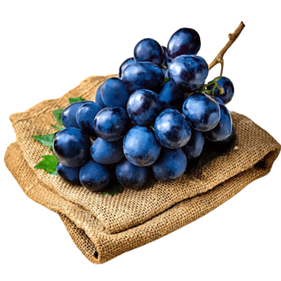 Bangalore Blue grapes Bangalore Blue grapes