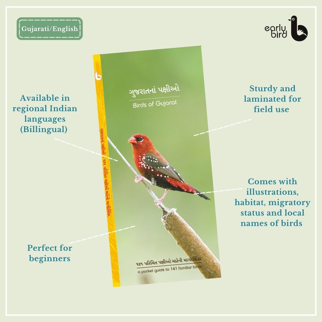 Early Bird Pocket Guides Early Bird Pocket Guides