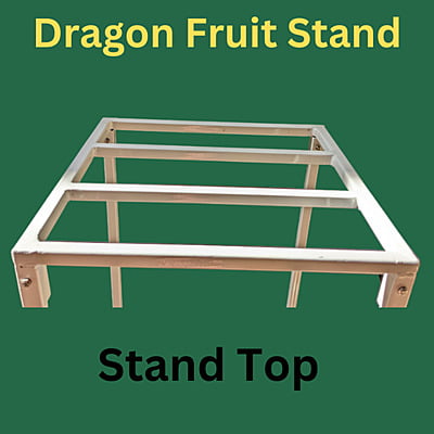 Stand for Dragon Fruit Plant