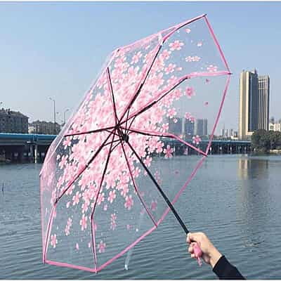 Umbrella Cherry Blossom Creative Little Fresh Three Folding Carton Polyester Auto Open Multi-colors