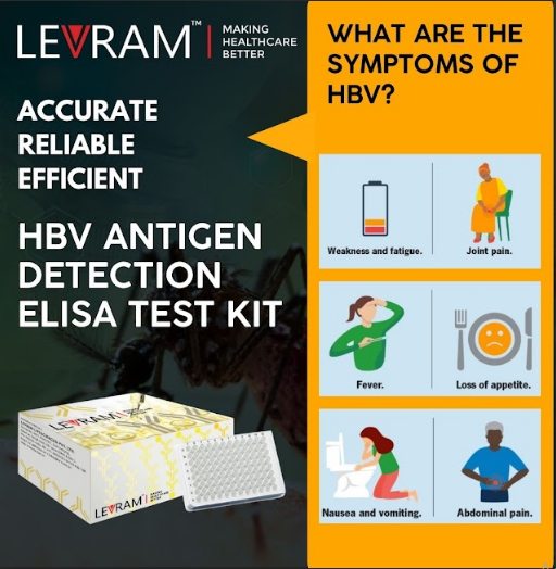 HBV Antigen Detection Elisa Test Kit HBV Antigen Detection Elisa Test Kit