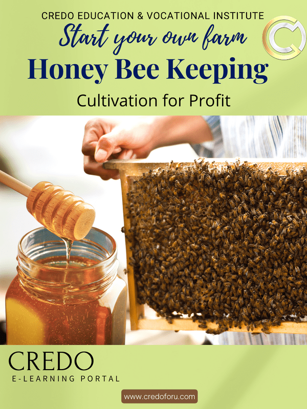 HONEY BEE FARMING HONEY BEE FARMING