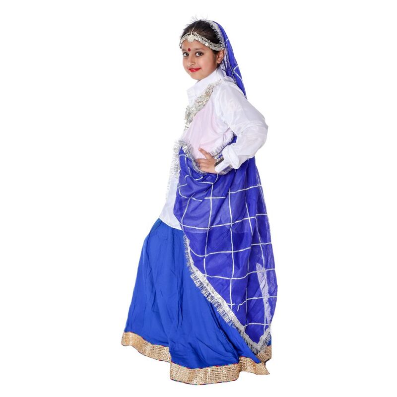 Haryanvi Dance Lehenga Dress Blue & White Haryanvi Dance Lehenga Dress Blue & White