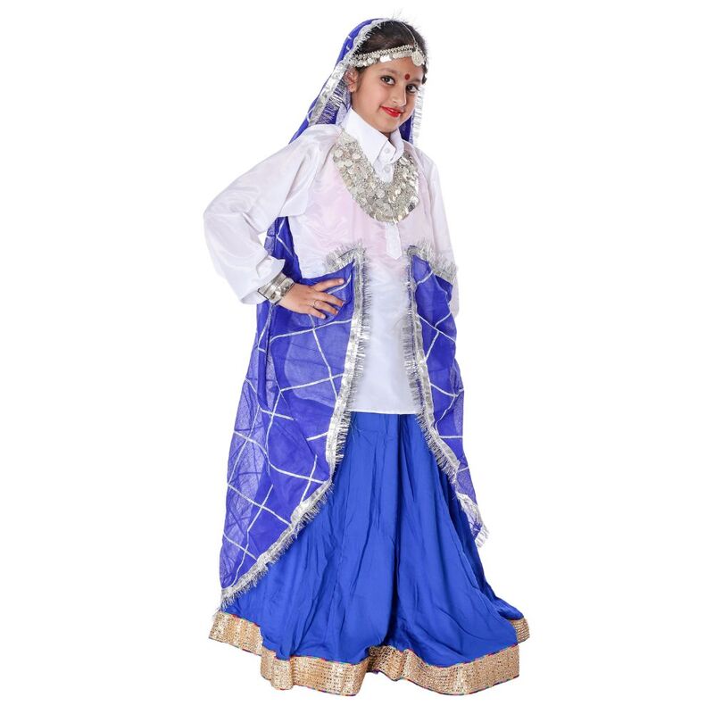 Haryanvi Dance Lehenga Dress Blue & White Haryanvi Dance Lehenga Dress Blue & White