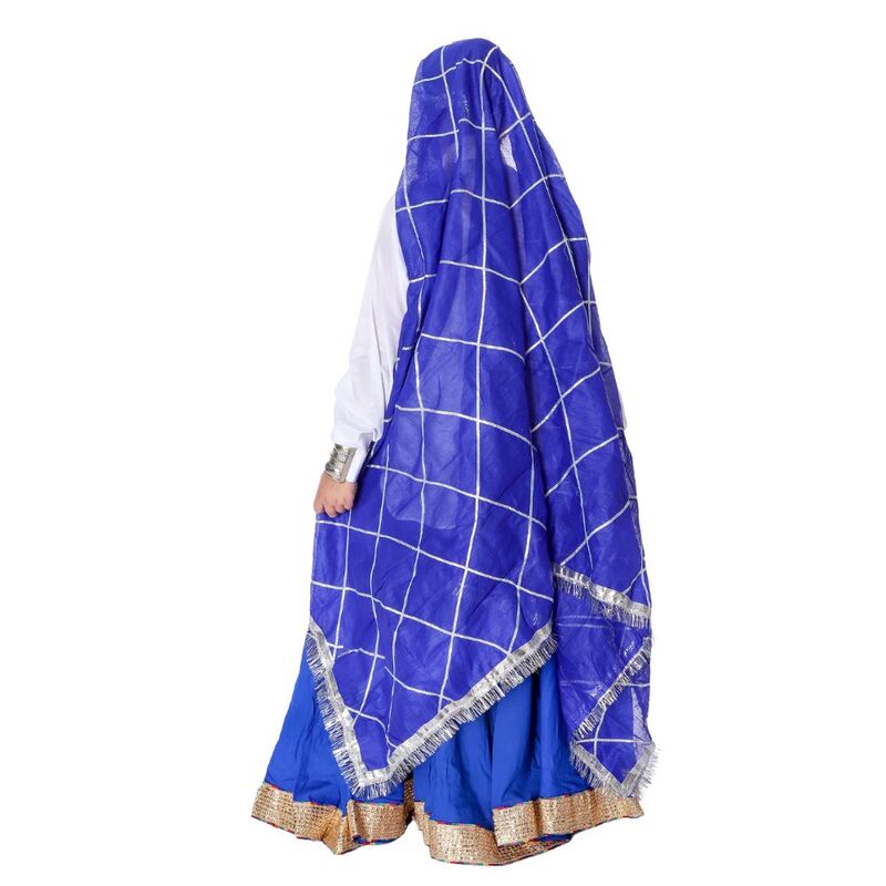 Haryanvi Dance Lehenga Dress Blue & White Haryanvi Dance Lehenga Dress Blue & White