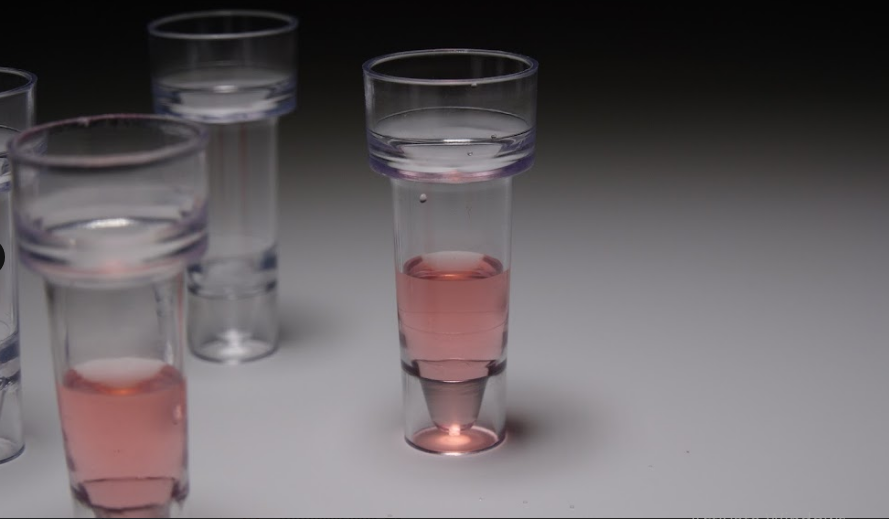 Hitachi Cups Hitachi Cups