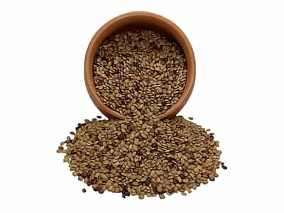 Organic Horse Gram