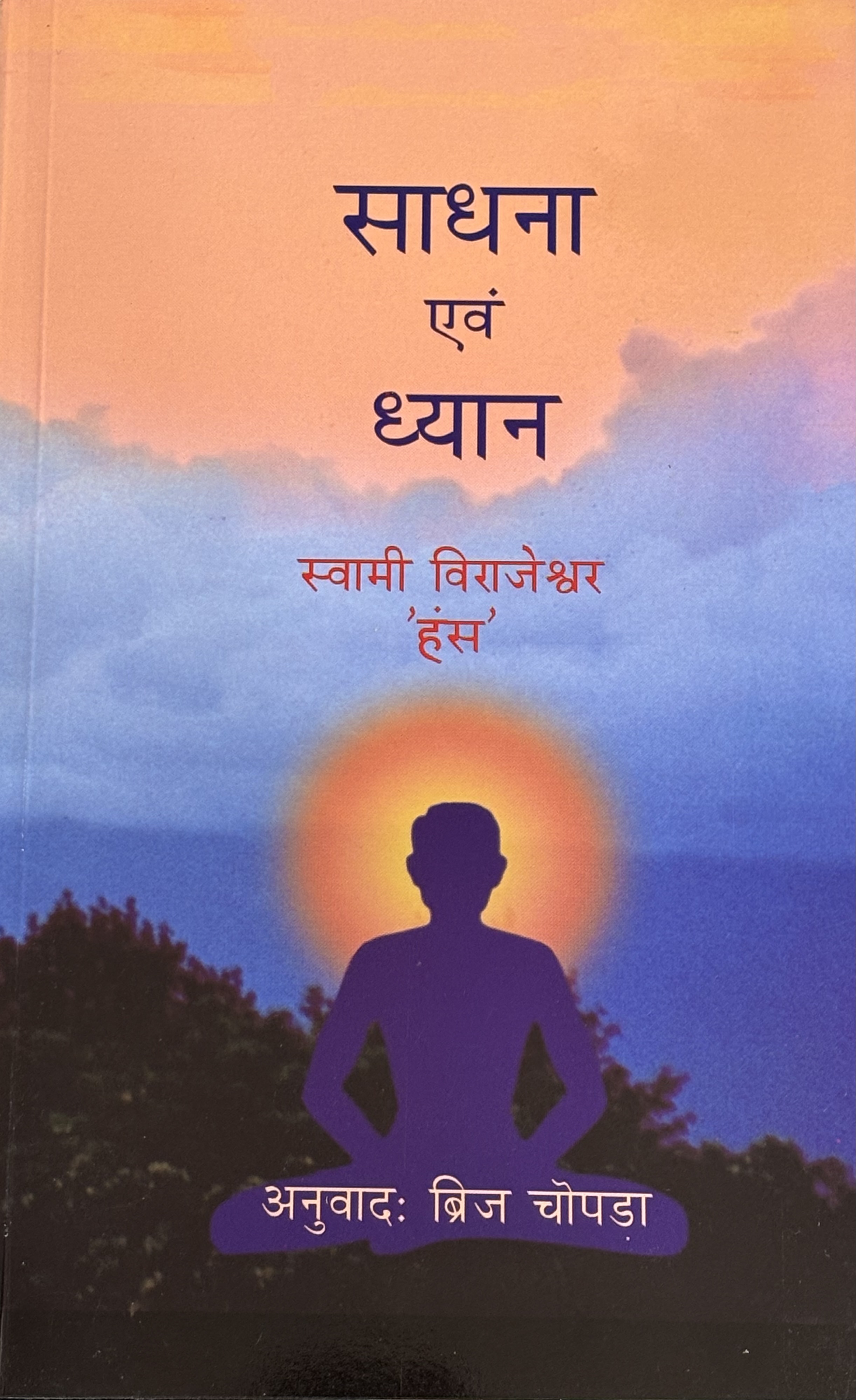 Sadhana & Meditation(Hindi)