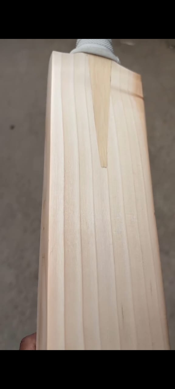 SS TON Lightweight English Willow Bat | Leather Ball Cricket Bat | Superior Balance & Pickup
