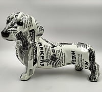 Black & White Dog