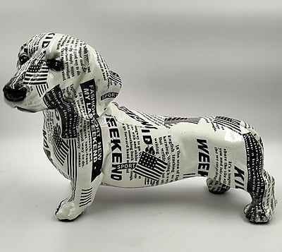 Black & White Dog
