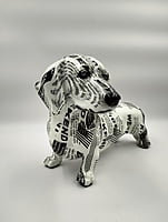 Black & White Dog