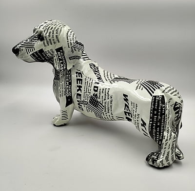 Black & White Dog