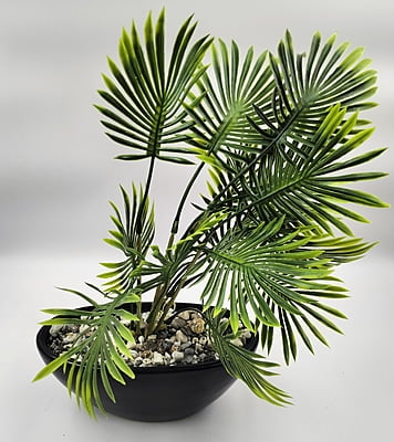 Elegant Bloom Pot (5" X 11") Elegant Bloom Pot (5" X 11")