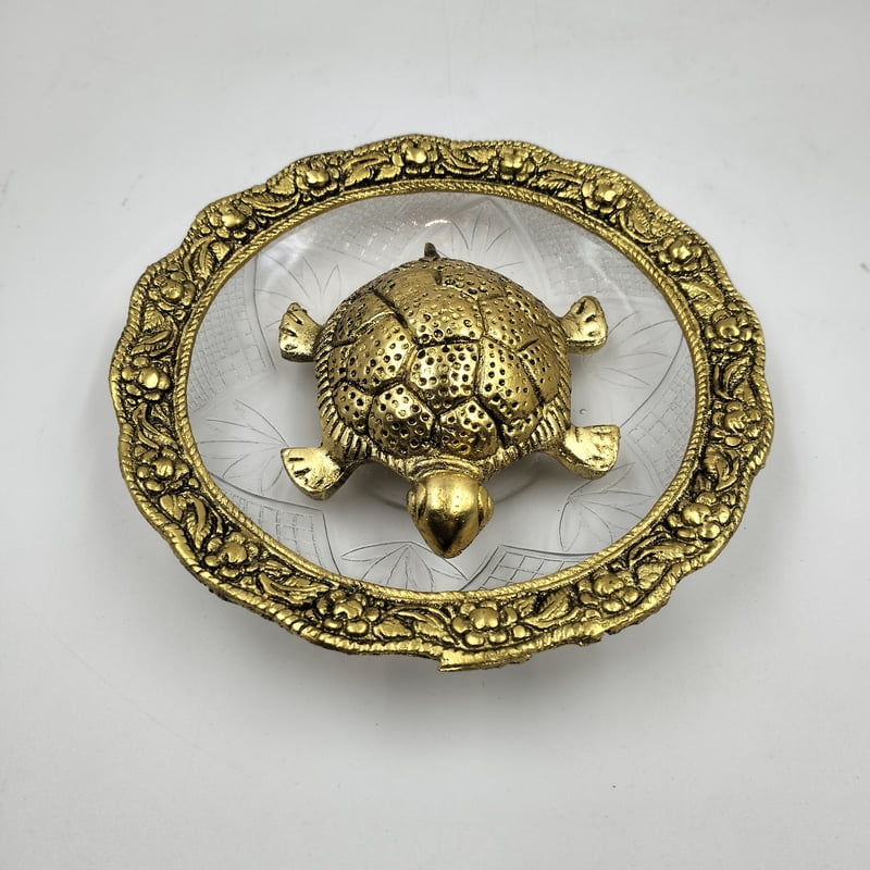 Turtile With Plate