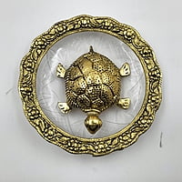 Turtile With Plate