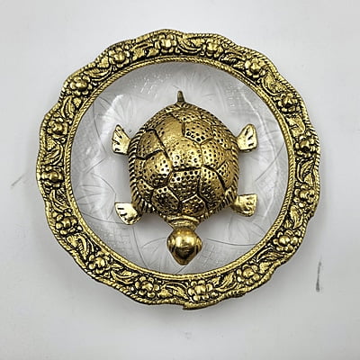 Turtile With Plate