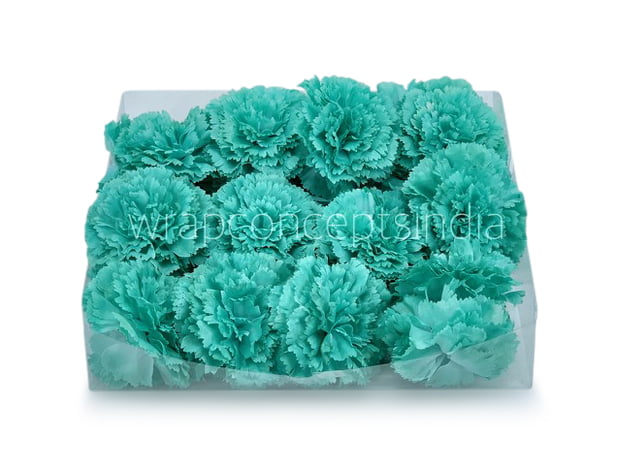 Cyan Carnation Cyan Carnation
