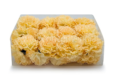 Buttercup Carnation